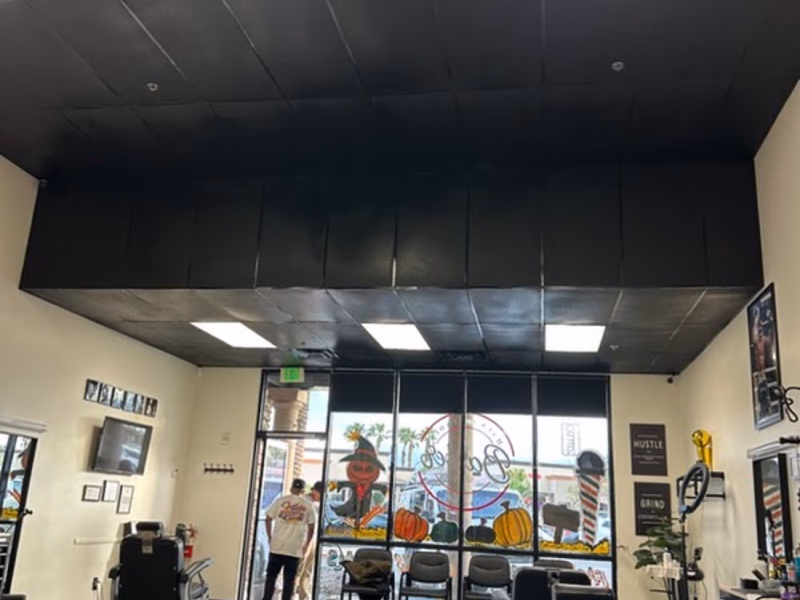 Commercial Painting, Noe Rivera Painting